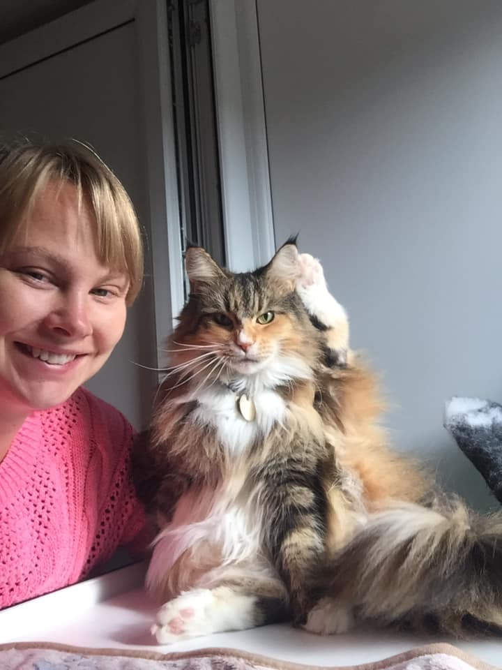 Cat Guest